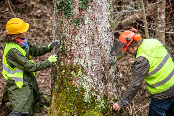 Soil Testing and Treatment in Twin Lakes, VA